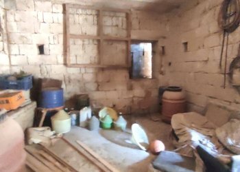 Foto 8 - Rustico Castel Morrone - foto 8