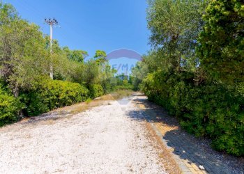 Giardino - Rustico S.S. 100, Casamassima - foto 39