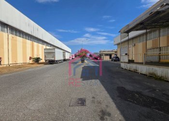 Foto 6 - Capannone Via De La Comunella
 
188-200, Roma - foto 6