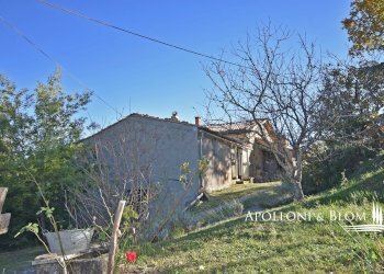 Farmhouse Loc. Tavoleto, 30, Castiglione d'Orcia - photo 35