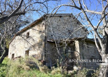 Farmhouse Loc. Tavoleto, 30, Castiglione d'Orcia - photo 44