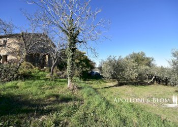 Farmhouse Loc. Tavoleto, 30, Castiglione d'Orcia - photo 46