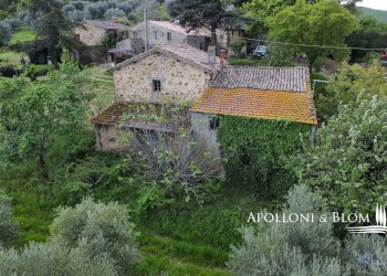Farmhouse Loc. Tavoleto, 30, Castiglione d'Orcia - photo 4