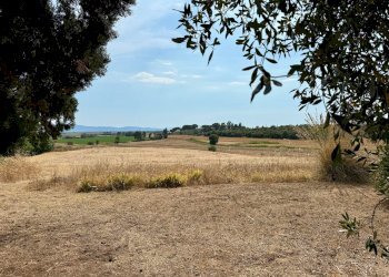 Foto 11 - Villa ZONA BANDITELLA, Magliano in Toscana - foto 11