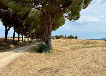 Foto 13 - Villa ZONA BANDITELLA, Magliano in Toscana - foto 13