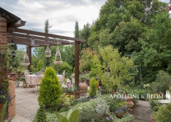 Villa Unifamiliare Castiglione del Lago - foto 2