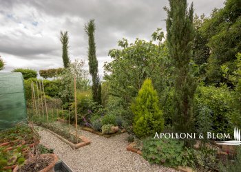 Villa Unifamiliare Castiglione del Lago - foto 19