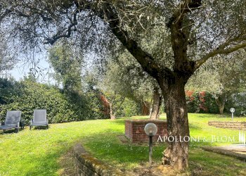 Villa Unifamiliare Castiglione del Lago - foto 6