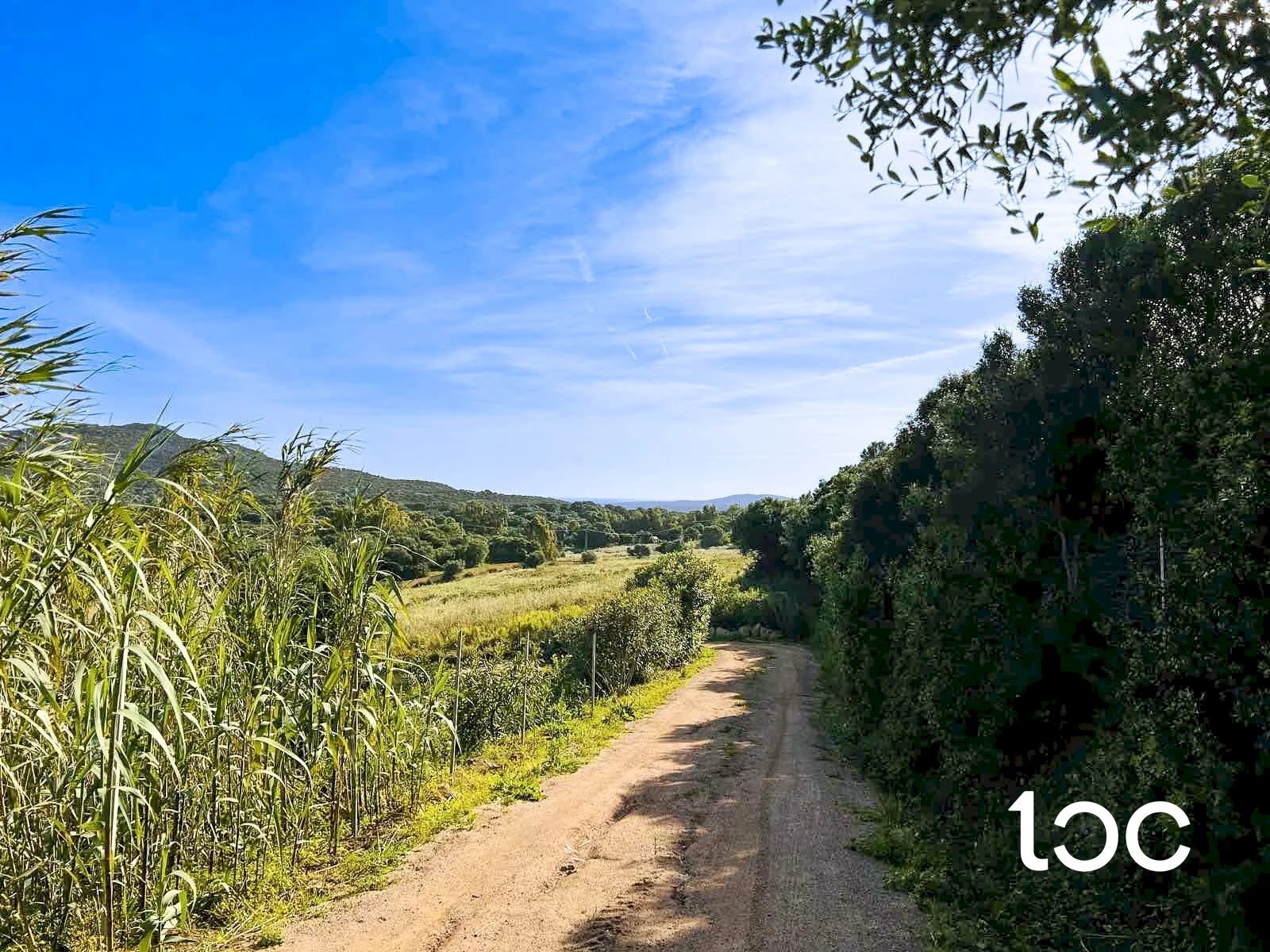 Terreno edificabile Golfo Aranci - foto 3
