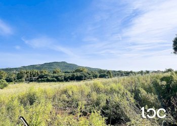 Terreno edificabile Golfo Aranci - foto 1