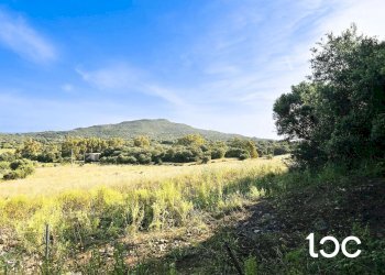 Terreno edificabile Golfo Aranci - foto 4