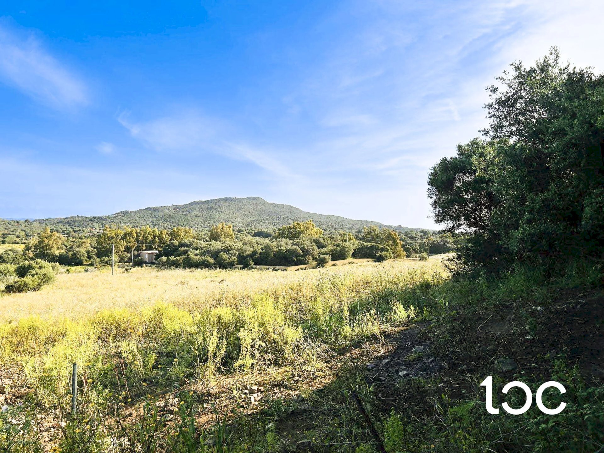 Building land Golfo Aranci - photo 2