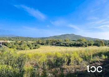 Terreno edificabile Golfo Aranci - foto 1