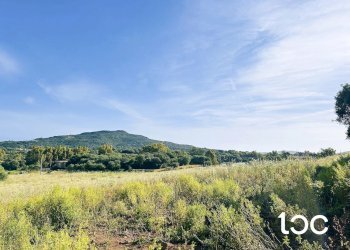 Terreno edificabile Golfo Aranci - foto 4