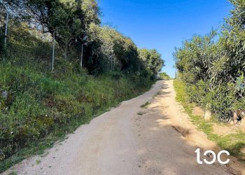 Terreno edificabile Golfo Aranci - foto 5