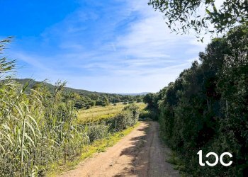 Terreno edificabile Golfo Aranci - foto 6