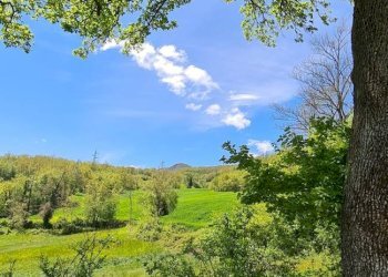 Casa indipendente Montecreto - foto 6