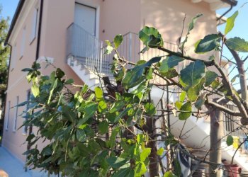 Appartamento Forlì - foto 11