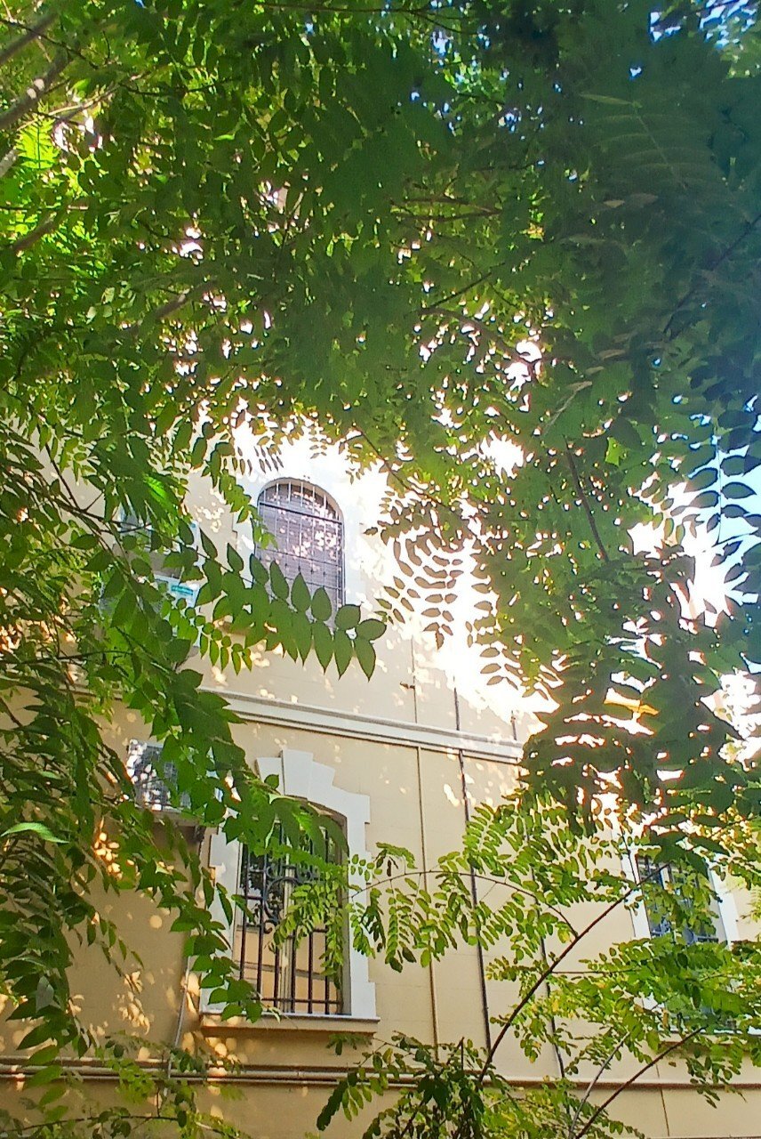 Apartment Reggio nell'Emilia - photo 3