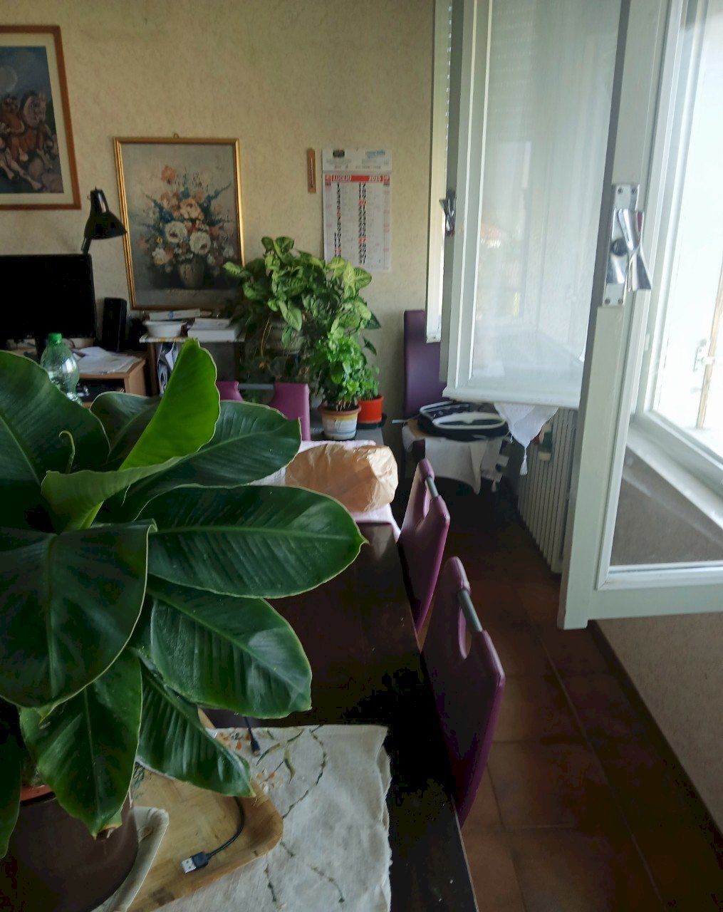 Appartamento Reggio nell'Emilia - foto 3