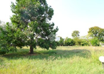 Porzione di casa Via Abetone Brennero, Poggio Rusco - foto 11