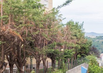 Foto 31 - Appartamento Via Coronata
 
55A, Genova - foto 30