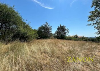 Foto 3 - Terreno edificabile Sagrado - foto 3