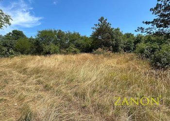 Foto 4 - Terreno edificabile Sagrado - foto 4