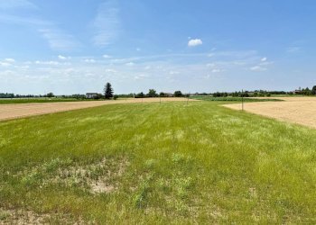 Foto 8 - Casa indipendente Casal Cermelli - foto 8