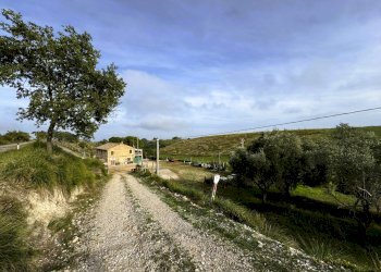 Foto 5 - Rustico Lapedona - foto 5