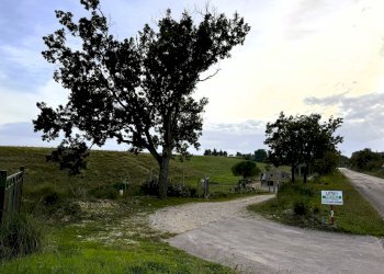 Foto 7 - Rustico Lapedona - foto 7