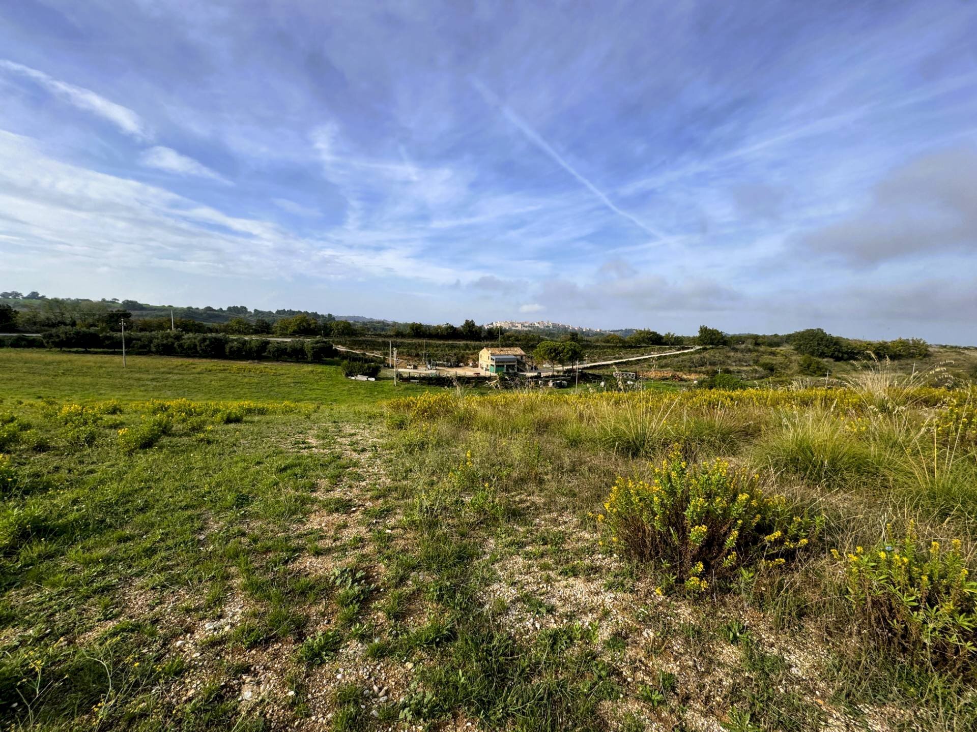 Foto 2 - Terreno agricolo Lapedona - foto 2