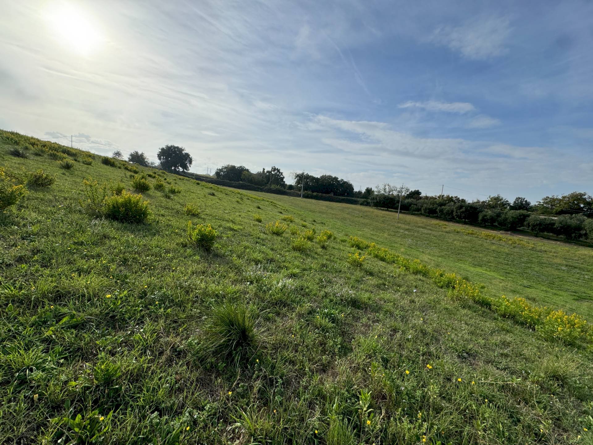 Foto 3 - Terreno agricolo Lapedona - foto 3