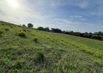 Foto 3 - Terreno agricolo Lapedona - foto 3