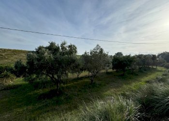 Foto 4 - Terreno agricolo Lapedona - foto 4