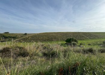 Foto 5 - Terreno agricolo Lapedona - foto 5