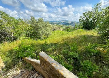 Foto 3 - Rustico Contrada Cecapalomba
 
snc, Fermo - foto 3