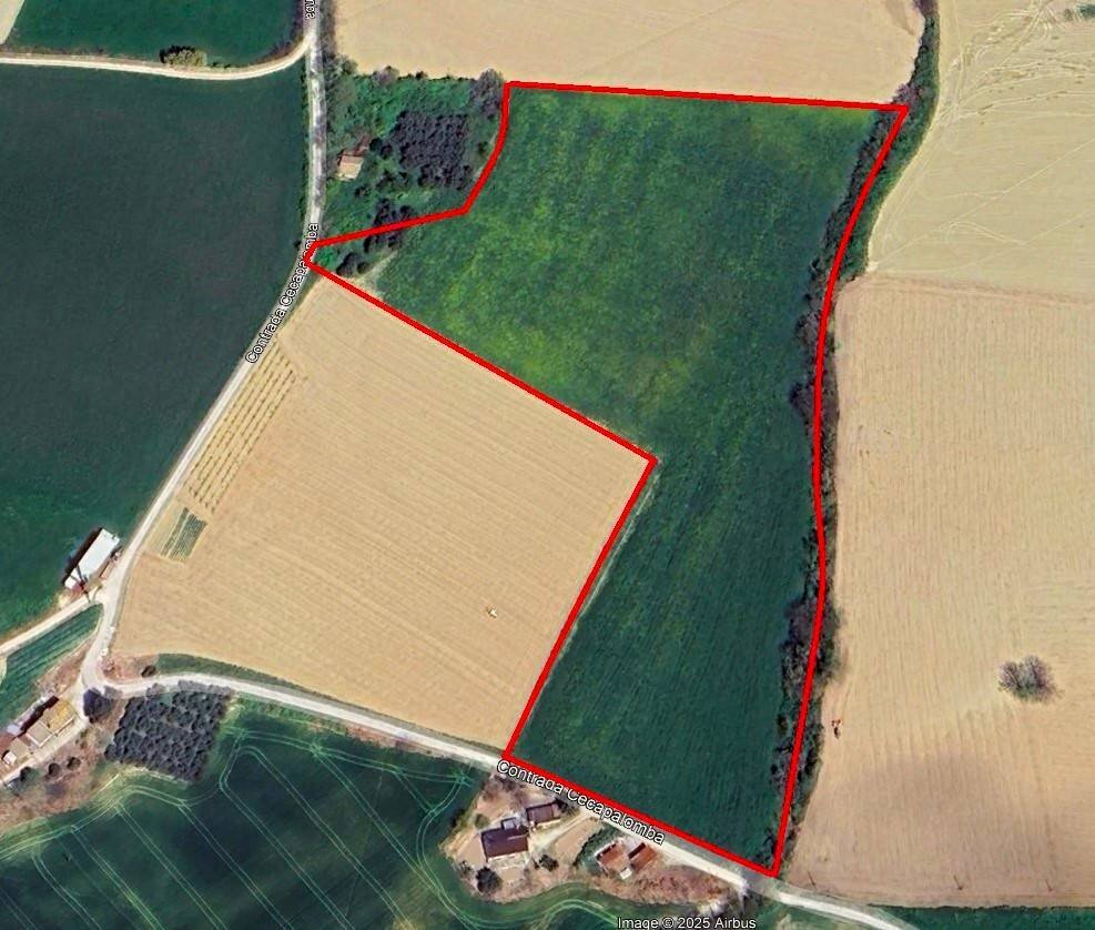 Foto 1 - Terreno agricolo Contrada Cecapalomba
 
snc, Fermo - foto 1