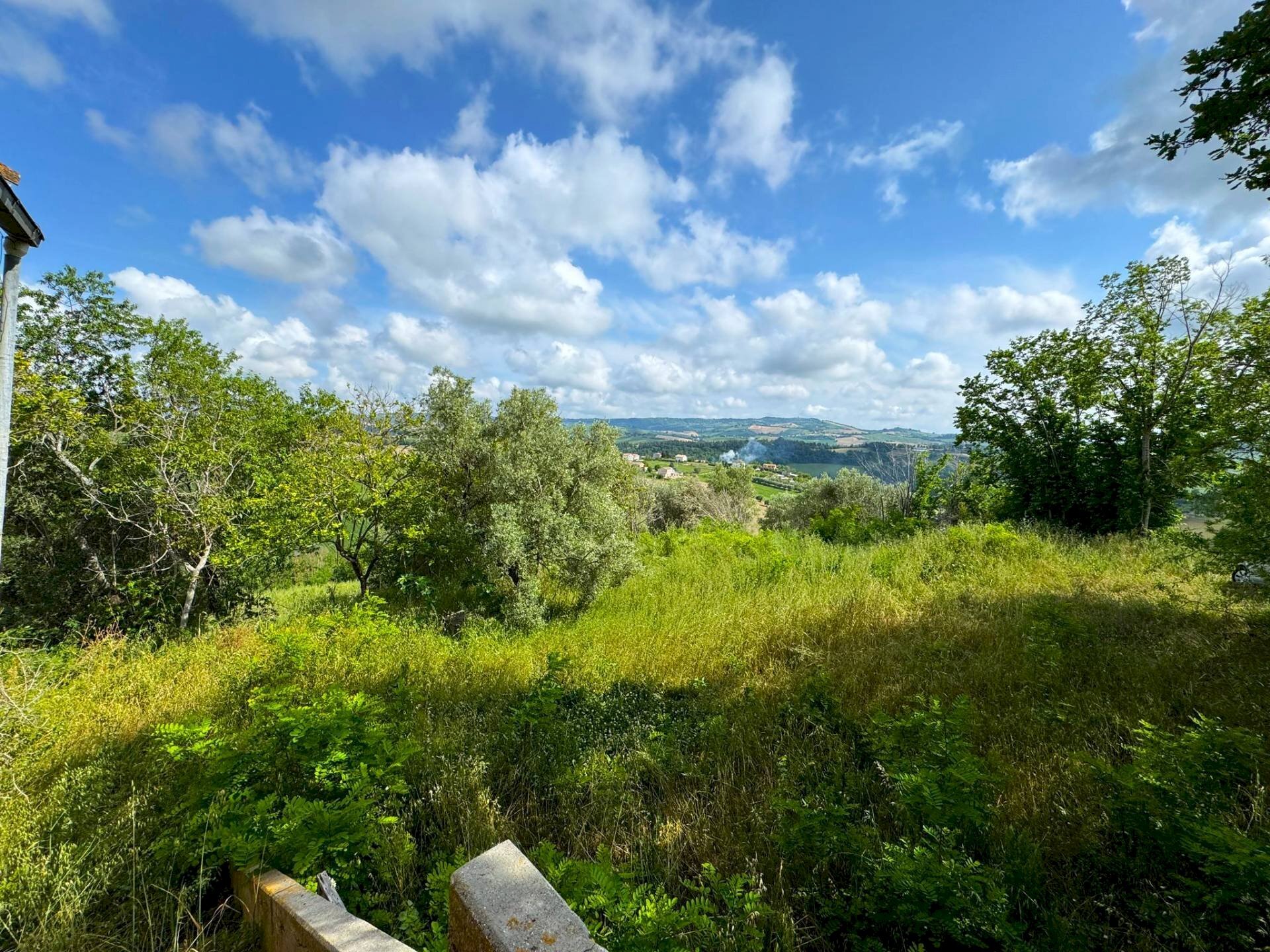 Foto 2 - Terreno agricolo Contrada Cecapalomba
 
snc, Fermo - foto 2