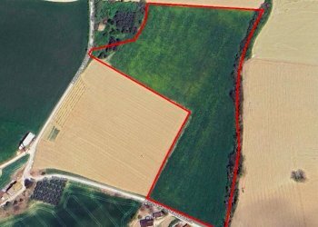 Foto 1 - Terreno agricolo Contrada Cecapalomba
 
snc, Fermo - foto 1