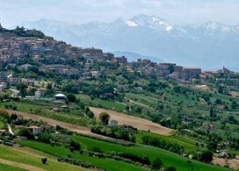 Foto 3 - Terreno agricolo Contrada Cecapalomba
 
snc, Fermo - foto 3