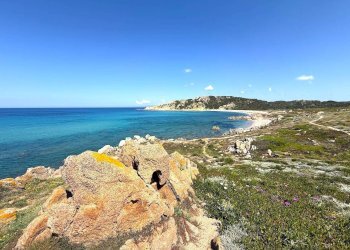 Foto 17 - Villa Isola Rossa, Trinità d'Agultu e Vignola - foto 17