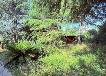 Foto 4 - Villa a Schiera via Dei Melograni
 
14, Ascoli Piceno - foto 4