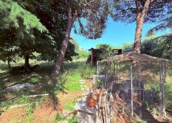 Foto 5 - Villa a Schiera via Dei Melograni
 
14, Ascoli Piceno - foto 5