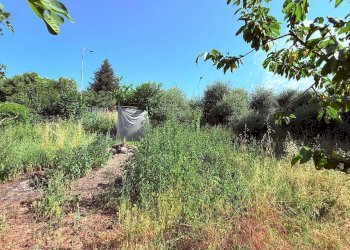 Foto 8 - Villa a Schiera via Dei Melograni
 
14, Ascoli Piceno - foto 8