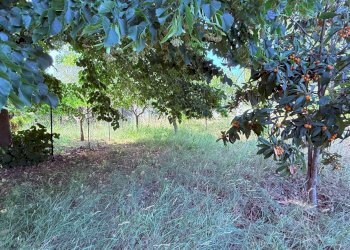 Foto 9 - Villa a Schiera via Dei Melograni
 
14, Ascoli Piceno - foto 9