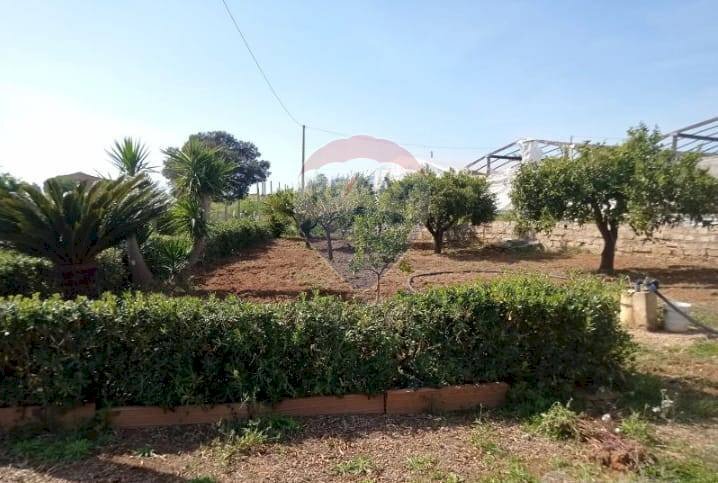 Giardino - Villa contrada feudo nobile, Gela - foto 3