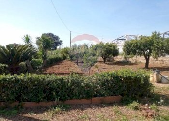 Giardino - Villa contrada feudo nobile, Gela - foto 9