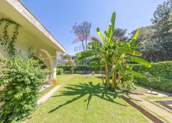 Giardino - Casa semi indipendente Via Maiori
 
58, Fiumicino - foto 100