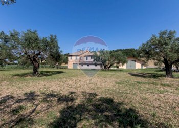 Giardino - Casa indipendente Via Mazzangrugno
 
12, Jesi - foto 11